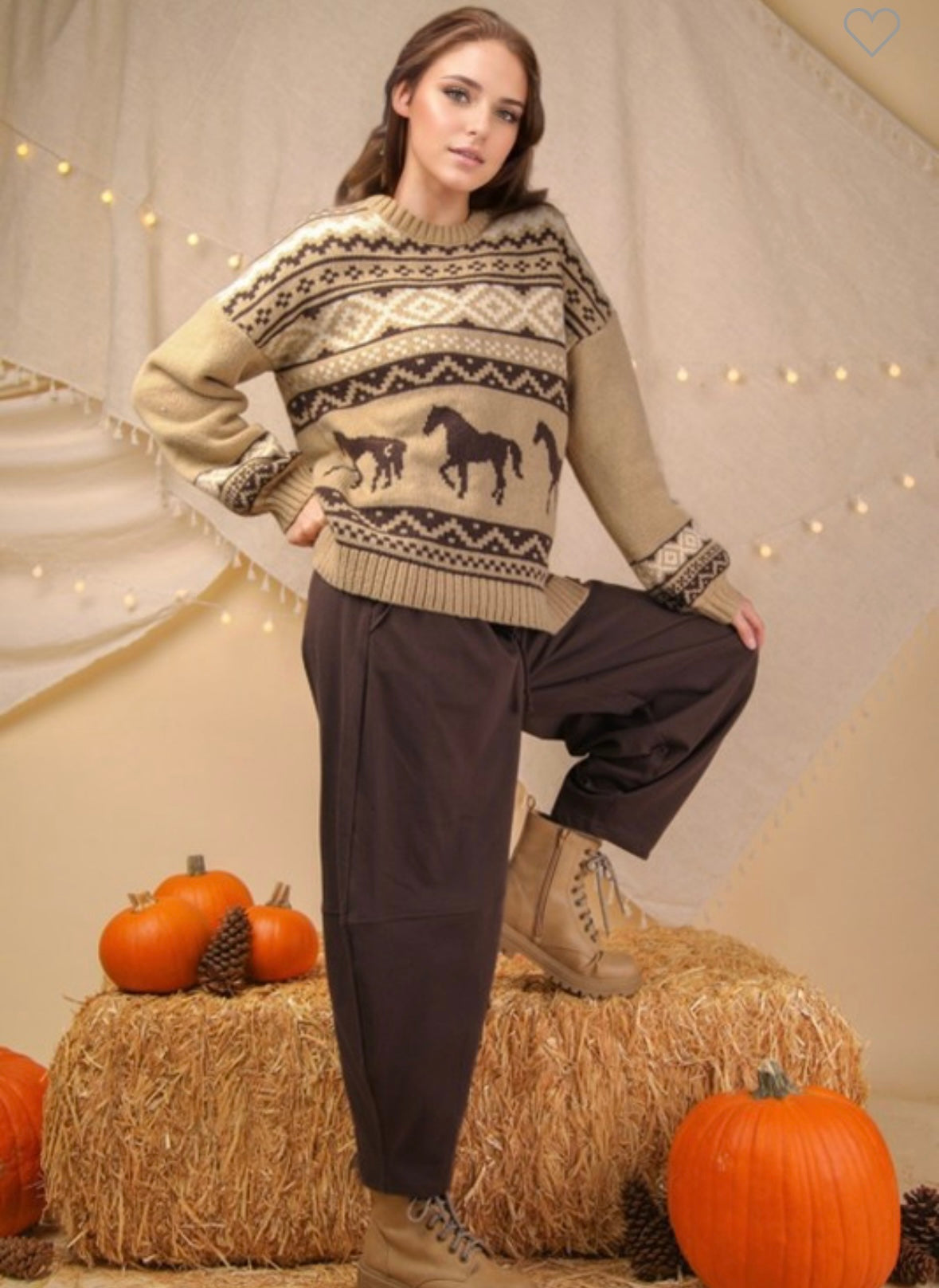 Western knit Sweater