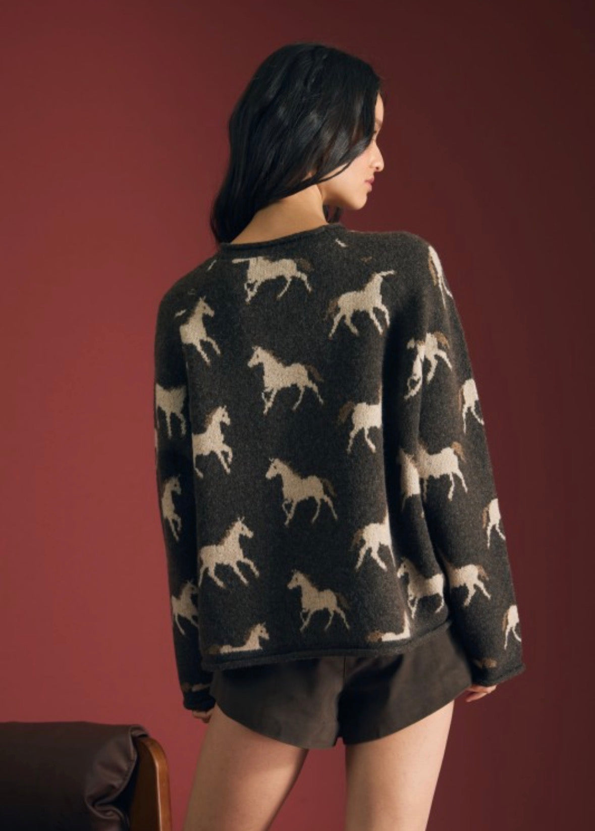Wild Horse Wanderer Sweater
