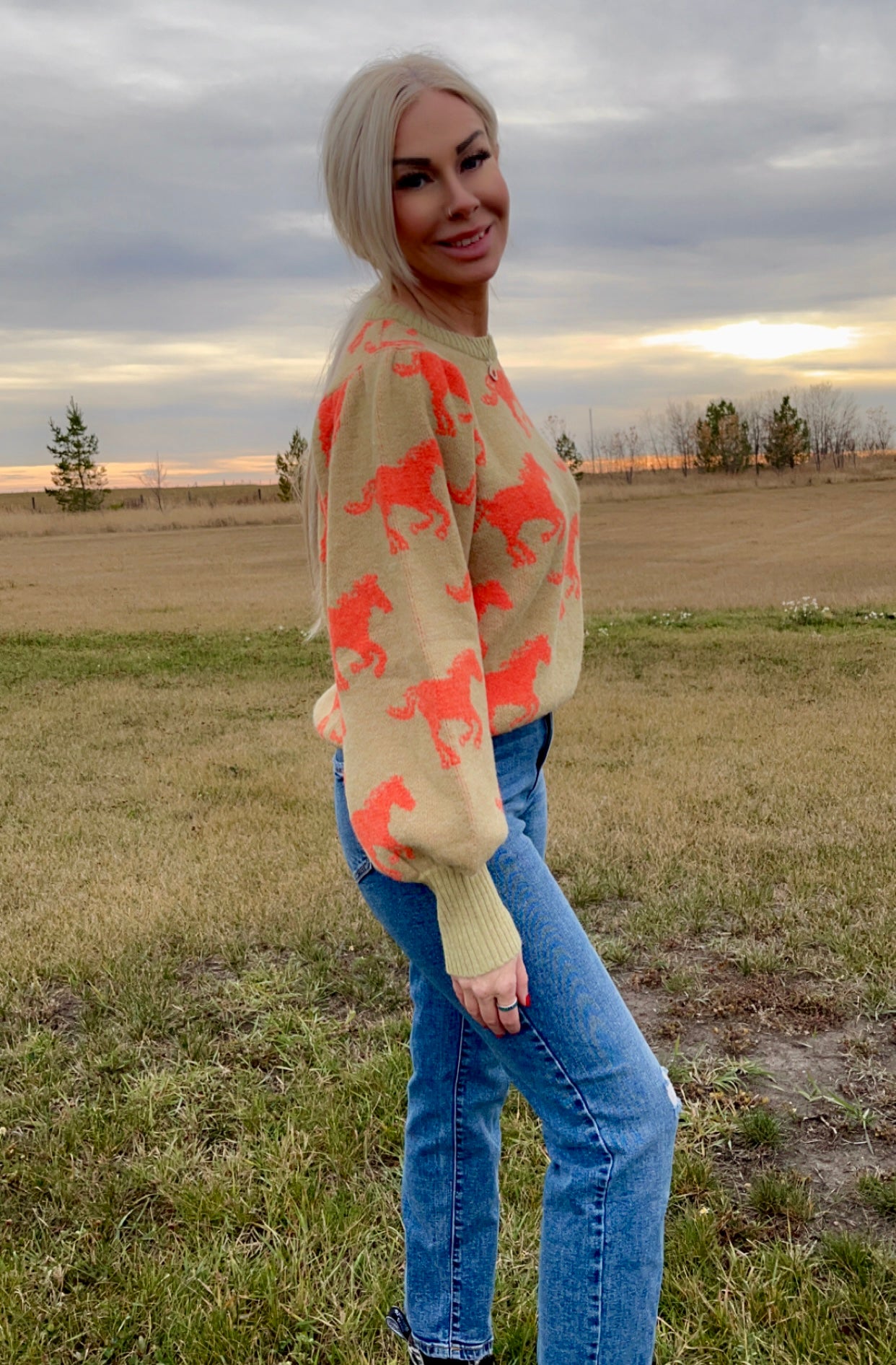 Last one small Natasha sweater