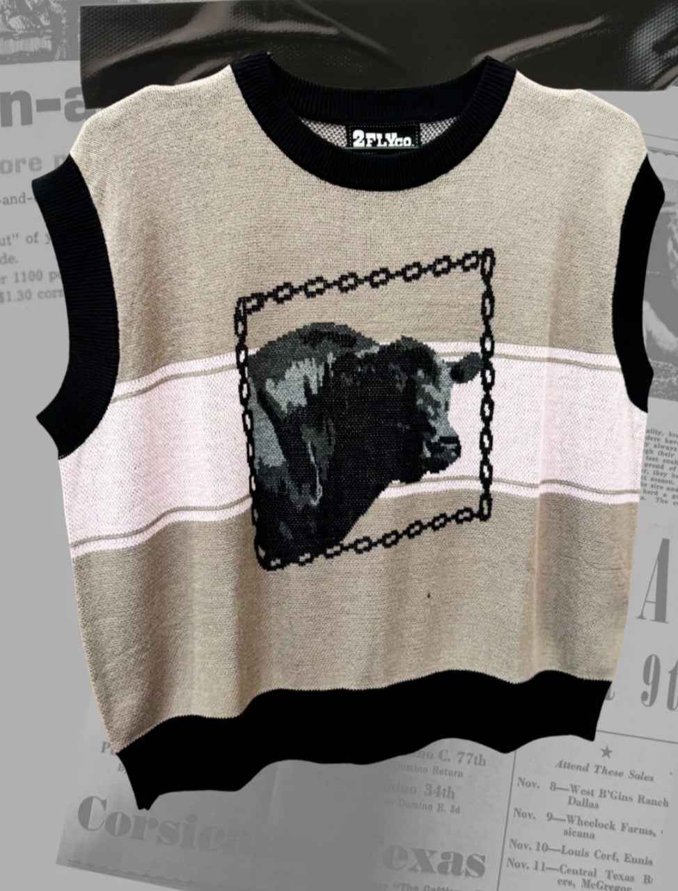 2fly BOWIE BULL-evard sweater vest