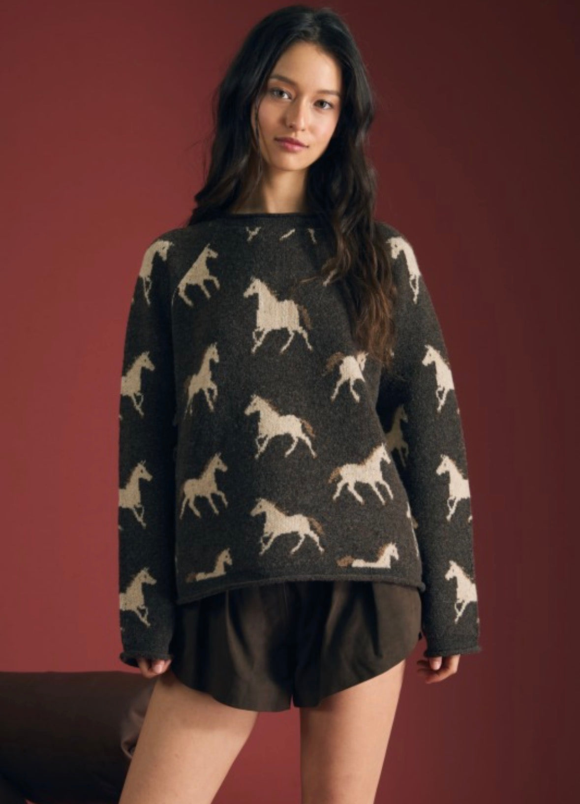 Wild Horse Wanderer Sweater