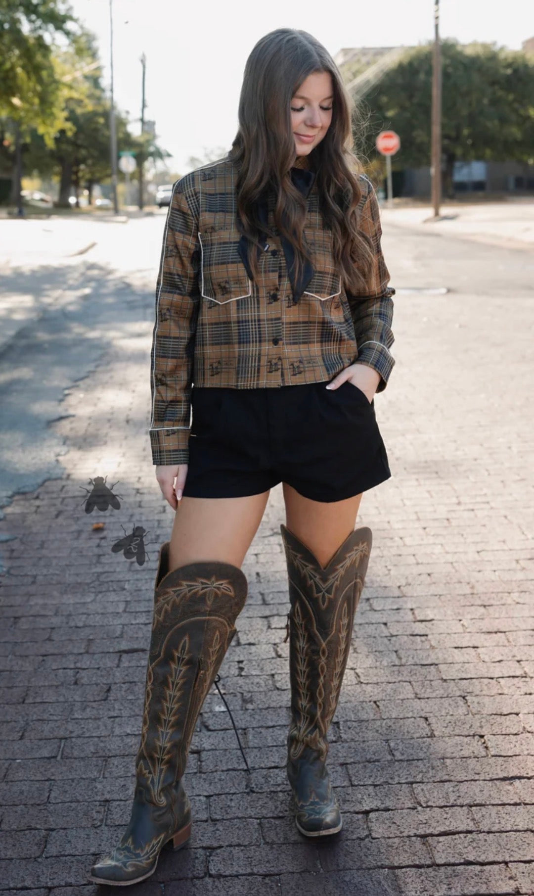 2fly PLAID ROUNDUP