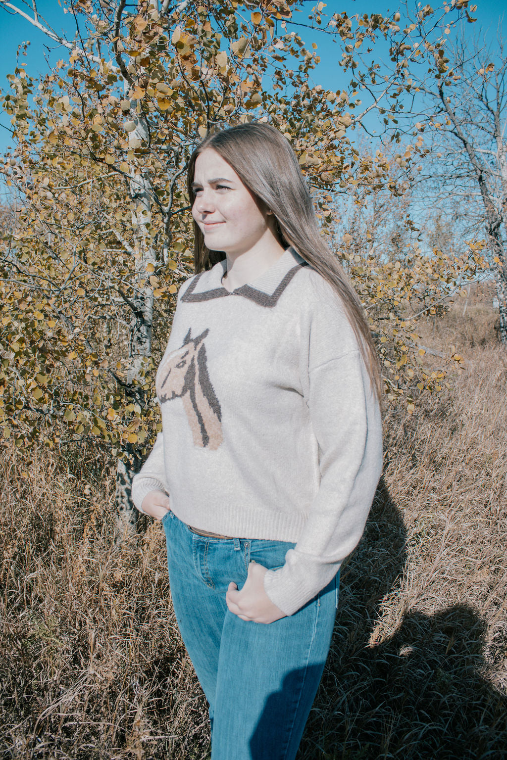 Last one M/L Collar horse knit sweater