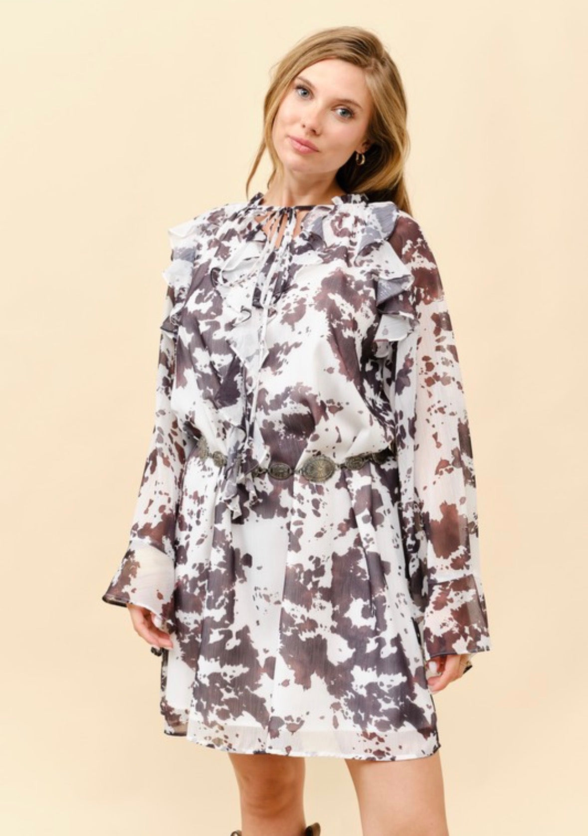 Painted Prairie Swing Dress