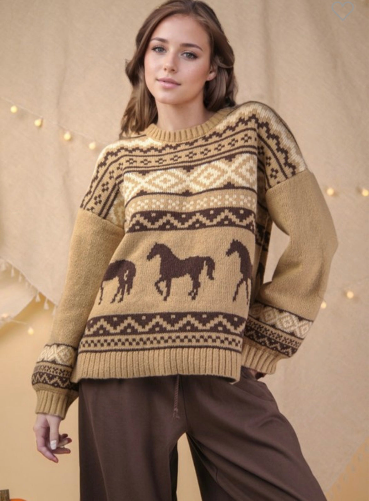 Western knit Sweater