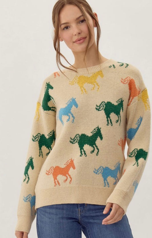 Last one small Rider sweater