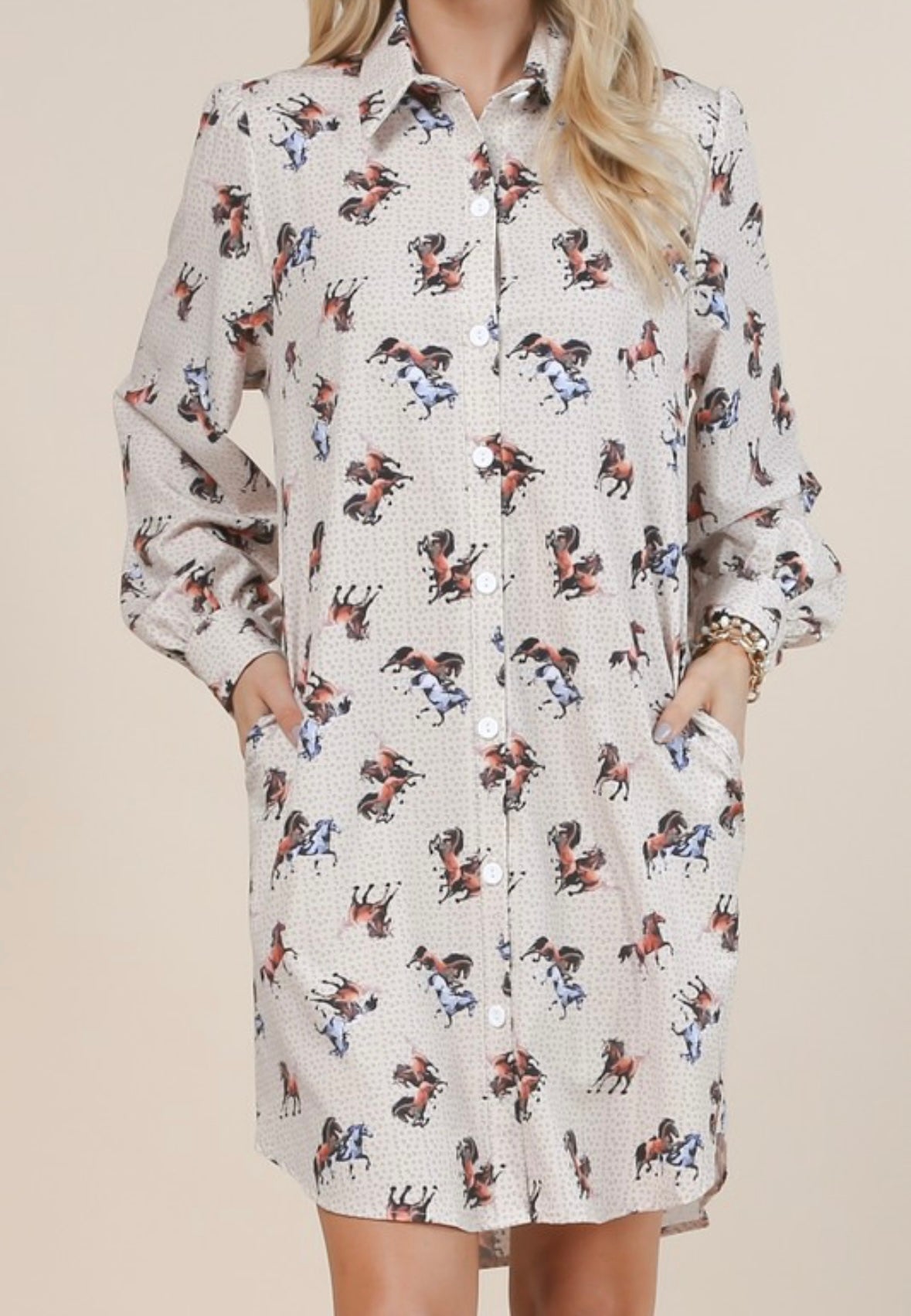 Last one small Horse shoe Shirt dress