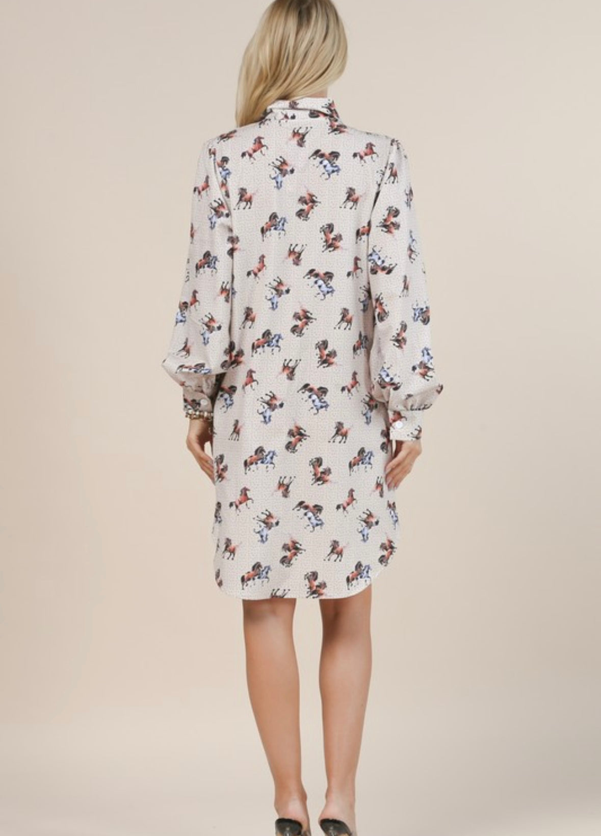 Last one small Horse shoe Shirt dress